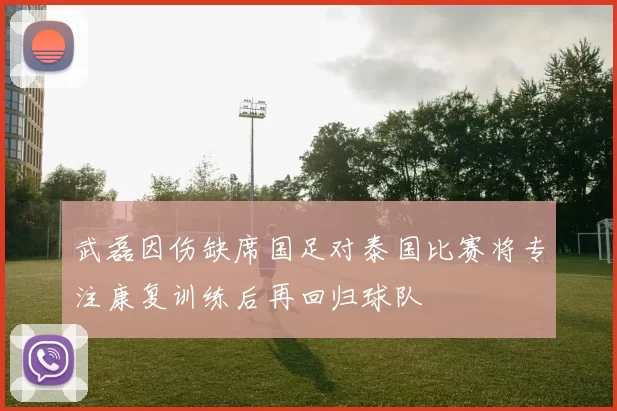 武磊因伤缺席国足对泰国比赛将专注康复训练后再回归球队